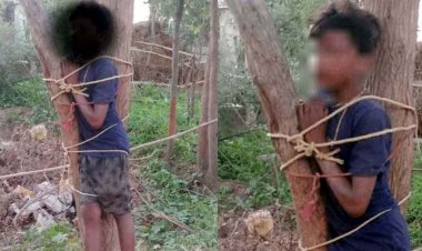 जशपुर में शर्मनाक घटना, नाबालिग को पेड़ से बांधकर बेरहमी से पिटाई, एक घंटे तक तड़पता रहा बच्चा, सोशल मीडिया पर वीडियो वायरल