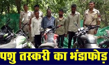 पशु तस्करी पर शिकंजा, पुलिस ने छापेमारी कर 37 मवेशियों को बूचड़खाने जाने से पहले 4 मवेशी तस्करों को गिरफ्तार कर भेजा जेल