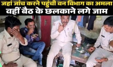 रक्षक ही बने भक्षक! जांच के नाम पर आरा मिल में वन विभाग की शराब पार्टी, पत्रकार पहुंचे तो मचा हड़कंप, डीएफ ओ ने कार्रवाई के दिए निर्देश