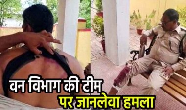निरीक्षण करने पहुंची वन विभाग की टीम पर ग्रामीणों ने किया लाठी-डंडे से हमला, डिप्टी रेंजर समेत 4 कर्मी घायल, भागकर बचाई जान