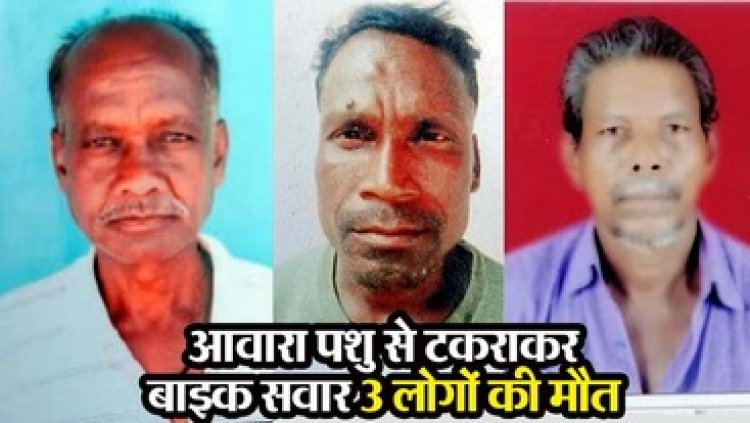 मवेशी से टकराई बाइक, हादसे में बकरा भात खाकर लौट रहे एक ही परिवार के तीन लोगों की दर्दनाक मौत, गांव में पसरा मातम