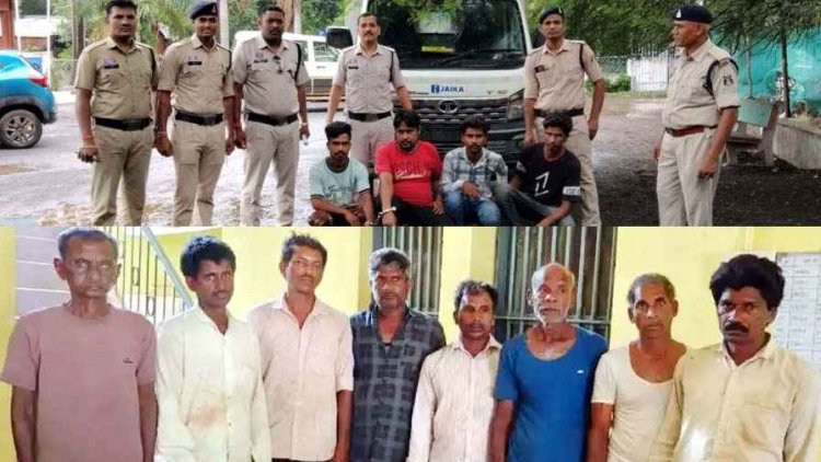 अवैध पशु तस्करी कर मवेशियों को नागपुर ले जा रहे 4 आरोपी और इधर गौ तस्करी कर कत्लखाना ले जाने वाले 8 आरोपियों को किया गिरफ्तार