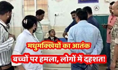 आंगनबाड़ी जा रहे बच्चों पर मधुमक्खियों ने किया हमला, मची अफरा तफरी, 4 बच्चे घायल, इलाज के लिए रेफर, अधिकारी पहुंचे अस्पताल