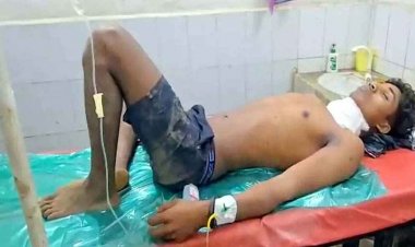 भालू ने बरपाया कहर, मशरुम बीनने गए युवक पर जानलेवा हमला, गर्दन और हाथ चीर डाले, इधर रिहायशी इलाके में घुसा तेंदुआ, बछड़े को बनाया शिकार