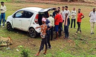 छत्तीसगढ़ में गौ तस्करी का भंडाफोड़, कार में गायों को काटने ले जा रहे 6 तस्करों को पुलिस किया  गिरफ्तार, दो गायें बरामद, टोल नाका से मिला सुराग