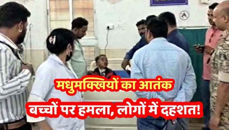 आंगनबाड़ी जा रहे बच्चों पर मधुमक्खियों ने किया हमला, मची अफरा तफरी, 4 बच्चे घायल, इलाज के लिए रेफर, अधिकारी पहुंचे अस्पताल