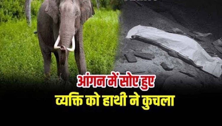 हाथियों की मौजूदगी से लोगों की जान को बना खतरा, आंगन में सो रहे अधेड़ को हाथी ने कुचला, हुई दर्दनाक मौत, इलाके में दहशत का माहौल
