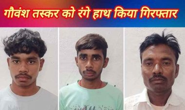 गौवंश तस्करी के खिलाफ एक्शन, बिरेझर के पास तीन आरोपियों को गिरफ्तार कर भेजा जेल, छह बछड़े बरामद, 4.25 लाख का माल जप्त