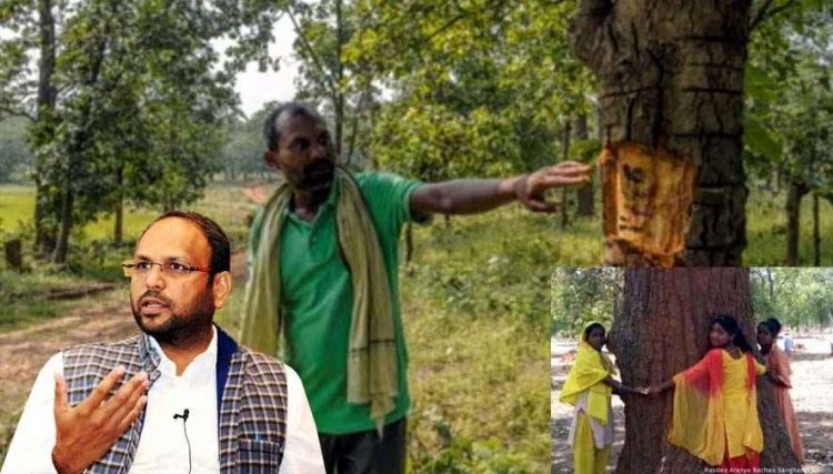 हसदेव में अब पांच लाख पेड़ काटने की तैयारी!, मंजूरी वापस लेने की मांग, आलोक शुक्ला ने दी प्रदेशव्यापी आंदोलन की चेतावनी