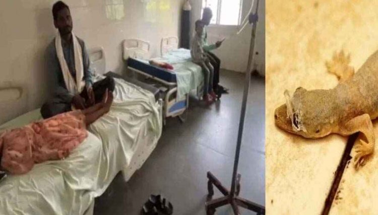 चने की सब्जी में गिरी छिपकली, खाना खाते ही बीमार पड़ा पूरा परिवार, मचा हड़कंप, 3 बच्चे भी शामिल, 4 लोग अस्पताल में भर्ती