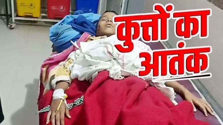 धमतरी में आवारा कुत्तों का आतंक, 9 साल की नाबालिग छात्रा पर किया हमला, हालत नाजुक, स्थानीय लोग काफी परेशान, गांव में दहशत का माहौल