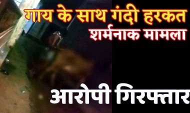 इंसानियत को शर्मसार करने वाली वारदात, गाय के साथ अप्राकृतिक कृत्य, वीडियो वायरल, पुलिस ने आरोपी को गिरफ्तार कर भेजा जेल
