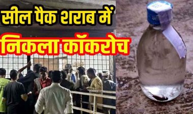 देशी शराब की सील पैक बोतल में निकला मृत कॉकरोच, वीडियो वायरल, मचा हड़कंप, पैकिंग प्रक्रिया पर उठे गंभीर सवाल, कार्रवाई की मांग