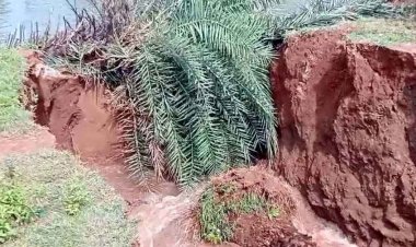 पानी का दबाव बढ़ते ही टूटी लाखौली मुख्य नहर, खेतों में भरा पानी, मचा हड़कंप, जल संसाधन विभाग पर लगा लापरवाही का आरोप