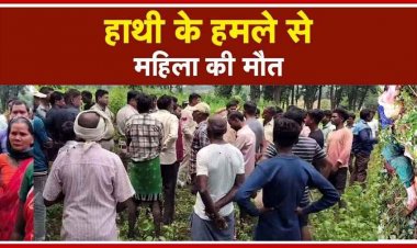 हाथियों का बेखौफ आतंक, हाथी के हमले से महिला की दर्दनाक मौत, छत-विक्षत मिली लाश, ग्रामीणों का वन विभाग पर फूटा गुस्सा