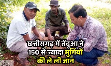 नागझर में तेंदुआ का आतंक, तेंदुए ने 150 से ज्यादा मुर्गियों को उतारा मौत के घाट, ग्रामीणों में दहशत का माहौल, गांवों में अलर्ट जारी