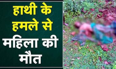 एक बार फिर क्षेत्र में मानव-हाथी संघर्ष, गजराज ने बुजुर्ग महिला कों कुचल कर उतारा मौत के घाट, कई घरों को भी पहुंचाया नुकसान, इलाके में दहशत