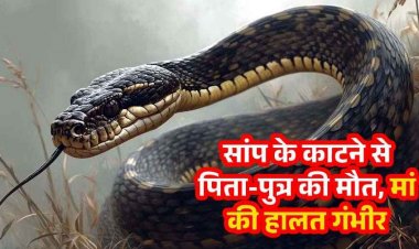 करैत सांप ने छीनी दो जिंदगियां, एक ही परिवार के तीन सदस्य बने शिकार, पिता-बेटे की मौत, मां गंभीर, इलाज में लापरवाही का आरोप, जांच के आदेश
