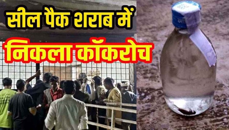 देशी शराब की सील पैक बोतल में निकला मृत कॉकरोच, वीडियो वायरल, मचा हड़कंप, पैकिंग प्रक्रिया पर उठे गंभीर सवाल, कार्रवाई की मांग