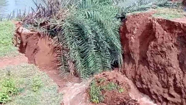 पानी का दबाव बढ़ते ही टूटी लाखौली मुख्य नहर, खेतों में भरा पानी, मचा हड़कंप, जल संसाधन विभाग पर लगा लापरवाही का आरोप