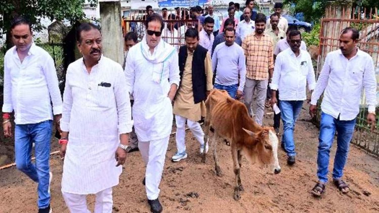 रायपुर के समोदा गौठान में 18 गायों की मौत, पहुंचा जांच दल, विकास उपाध्याय- गोवंश के शव चील-कौवे नोच रहे, भाजपा सरकार में गोवंश सुरक्षित नहीं