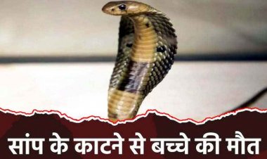 आंगन में खेलते-खेलते बुझ गया घर का चिराग, दो वर्षीय बच्चे को सांप ने डसा, इलाज के दौरान मौत, गुस्साए परिजनों ने करैत को भी खोजकर मार डाला
