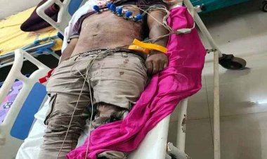 रायपुर में दिवाली से पहले हिट एंड रन, तेज रफ्तार कार ने बाइक को पीछे से मारी जोरदार टक्कर, दर्दनाक हादसे में 3 लोगों की मौत, चालक गिरफ्तार