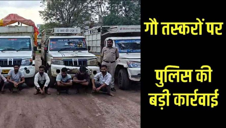 गौ तस्करी के खिलाफ बड़ी कार्यवाही, मवेशियों को बूचड़खाने ले जा रहे 9 अंतरराज्यीय तस्करों को पुलिस ने किया गिरफ्तार, 4 पिकअप बरामद