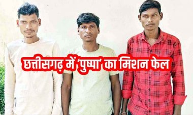 पुष्पा मूवी जैसी सागौन तस्करी का पर्दाफाश, उड़ीसा के तीन तस्कर गिरफ्तार, 3 फरार, तलाश जारी, वन विभाग की टीम को मिली बड़ी कामयाबी