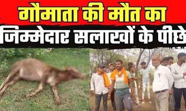 गौठान परिसर में 14 मवेशियों की मौत का मामला, आरोपी सरपंच रामकृष्ण गिरफ्तार, लगा गंभीर आरोप, पशु क्रूरता का मामला दर्ज