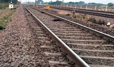 पुणे से हावड़ा की तरफ जा रही आजाद हिंद एक्सप्रेस ने मारी ठोकर, दर्दनाक हादसे में 16 बकरे-बकरियों समेत बुजुर्ग महिला की मौत