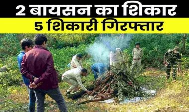 कबीरधाम जिले में करंट बिछाकर दो बायसन का शिकार, मौके पर पहुंची सीसीएफ की टीम, वन विभाग की कार्रवाई, पांच शिकारी गिरफ्तार
