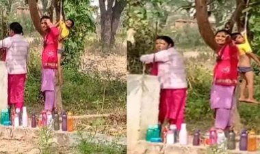 होमवर्क नहीं करने पर नर्सरी के बच्चे को टी शर्त से उल्टा लटकाकर पेड़ पर सजा, वीडियो वायरल, गुस्से में अभिभावक, प्रबंधन बता रहा मामूली घटना