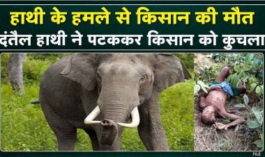 खेत जा रहे किसान पर दंतैल हाथी ने किया जानलेवा हमला, इलाज के दौरान मौत, वन विभाग ने किया विशेष सतर्कता बरतने की अपील