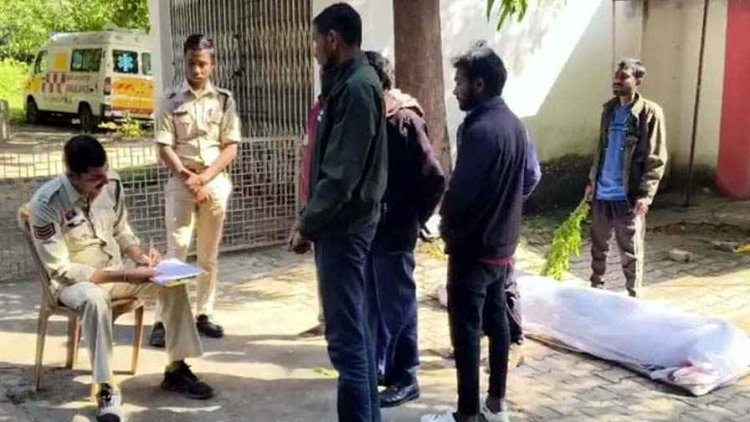 जंगल से लौटने के दौरान मधुमक्खियों ने किया हमला, लकड़ी लेने गए SECL कर्मी की मौत, पत्नी भी घायल, अस्पताल में भर्ती, इलाज जारी
