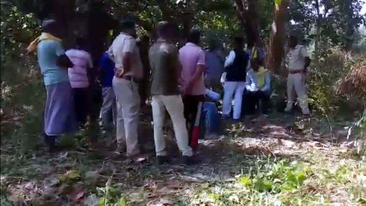 हाथियों ने कुचलकर ले ली ग्रामीण की जान, रात को गांव पहुंचा झुंड, खेत में रखवाली करने जा रहे युवक को कुचला, दहशत में लोग