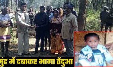 आदमखोर तेंदुए ने तीन वर्षीय बच्चे को बनाया शिकार, आंगन में खेलते समय ले गया उठाकर; बिना चेहरे के मिला शव, गांव में दहशत का माहौल