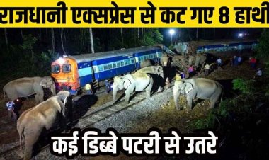 राजधानी एक्सप्रेस की चपेट में आए हाथी, 8 हाथियों की मौत, पटरी से उतरे ट्रेन के 5 डिब्बे, आखिर कब तक पटरियों पर दम तोड़ते रहेंगे गजराज?