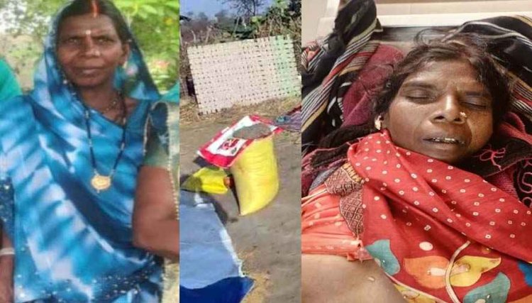 धान की रखवाली करने बाड़ी में सो रहे परिवार पर हाथी ने किया हमला, महिला की मौत, दो बच्चे समेत तीन घायल, ग्रामीणों में दहशत का माहौल