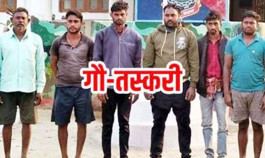 धमतरी में अवैध गौ-तस्करी के बड़े रैकेट का खुलासा, 6 गौ-तस्कर गिरफ्तार, ओडिशा ले जा रहे 10 गाय, 4 बछड़ा और 2 बछिया बरामद