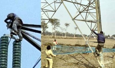 धान टोकन नहीं कटने से अन्नदाता परेशान, आत्महत्या करने टावर पर चढ़ा किसान, गांव में मचा हडकंप, सोशल मिडिया में वीडियो जमकर वायरल