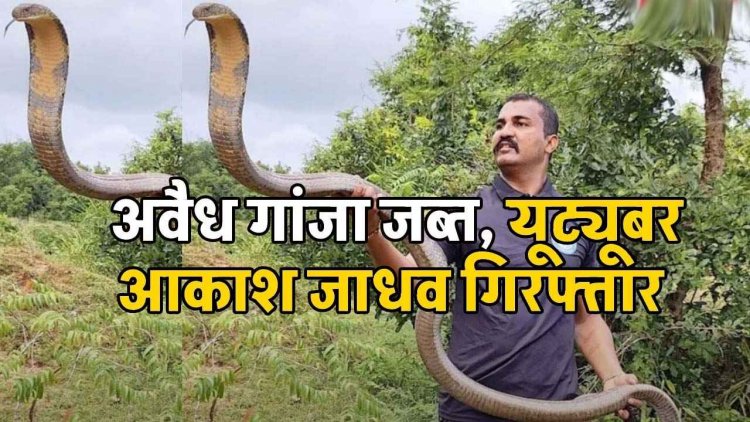 Youtube पर 56 लाख सब्सक्राइबर, इंस्टा पर 3 लाख फॉलोअर्स, ओडिशा से महाराष्ट्र तक गांजा तस्करी, सरगना आकाश जाधव समेत 9 गिरफ्तार