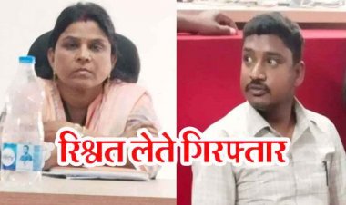 तहसील कार्यालय में ACB का बड़ा एक्शन, 35 हजार की रिश्वत लेते नायब तहसीलदार और पटवारी गिरफ्तार, राजस्व विभाग में हड़कंप