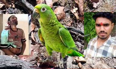 भूतबेड़ा में दर्दनाक हादसा, तोता पकड़ने पेड़ पर चढ़े युवक की दर्दनाक मौत, सिर के बल गिरने से गई जान, गांव में शोक की लहर, जांच में जुटी पुलिस