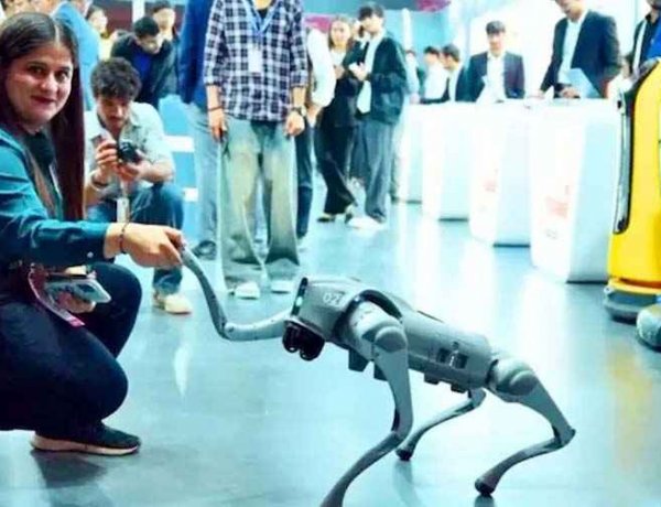 AI समिट में चाइनीज रोबोटिक डॉग को बताया भारत का मॉडल!, चीन ने खोली पोल, पोस्ट कर दिया डिलीट, दुनिया में देश की बदनामी का जिम्मेदार कौन?