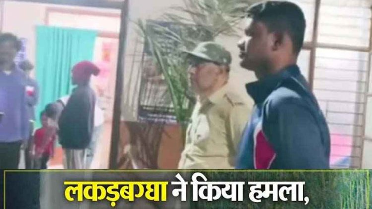 तालाब में नहाते समय लकड़बग्घे का हमला, युवक की हालत नाजुक, इलाके में दहशत का माहौल, वन विभाग ने तत्काल पहुंचकर कराया इलाज