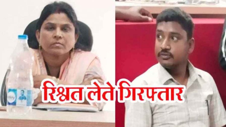 तहसील कार्यालय में ACB का बड़ा एक्शन, 35 हजार की रिश्वत लेते नायब तहसीलदार और पटवारी गिरफ्तार, राजस्व विभाग में हड़कंप