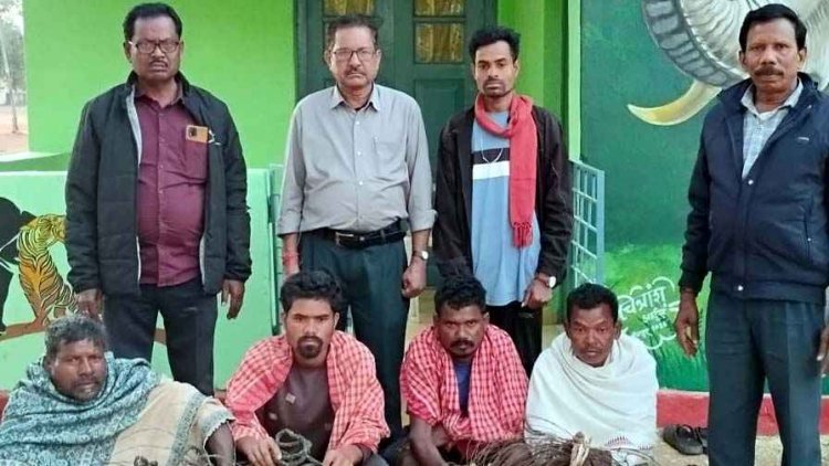उदंती-सीतानदी टाइगर रिज़र्व में शिकार की साजिश नाकाम,ओडिशा से आए 4 आरोपी गिरफ्तार, 178 फंदे जब्त, 3 फरार; तलाश जारी