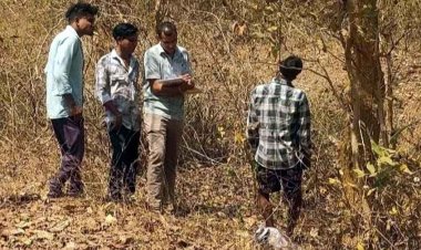 टूटते रिश्तों की दर्दनाक कहानी, पहली पत्नी प्रेमी संग फरार, दूसरी ने दी जान, गरियाबंद के युवक की जंगल में पेड़ से लटकी मिली लाश, फैली सनसनी