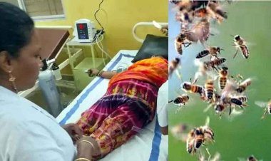 कुदरत का कहर, खेत में काम कर रही महिलाओं पर मधुमक्खियों का हमला, डंक से एक महिला की मौत, कई महिलाएं घायल, गांव में शोक और डर का माहौल